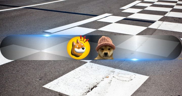 Bonk (BONK) Outshines Dogwifhat (WIF), Regaining Dominance as Solana’s Leading Meme Coin