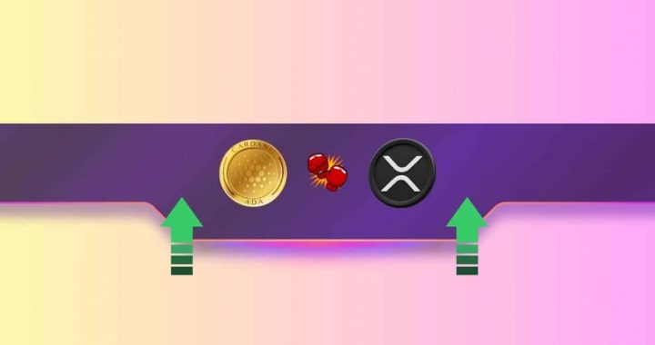 Ripple’s XRP Neared $1, Can Cardano’s ADA Do the Same By 2024’s End?
