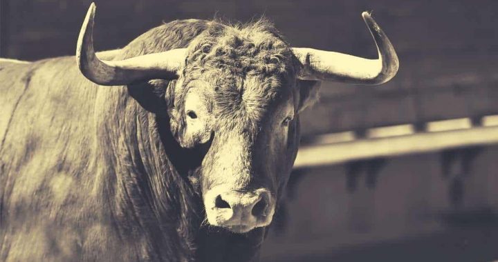 Crypto Derivatives Market Sentiment Turns Bullish Following US Election Conclusion: Report