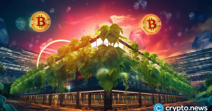 Singapore Gulf Bank wants to raise at least $50m to buy stablecoin firm: report