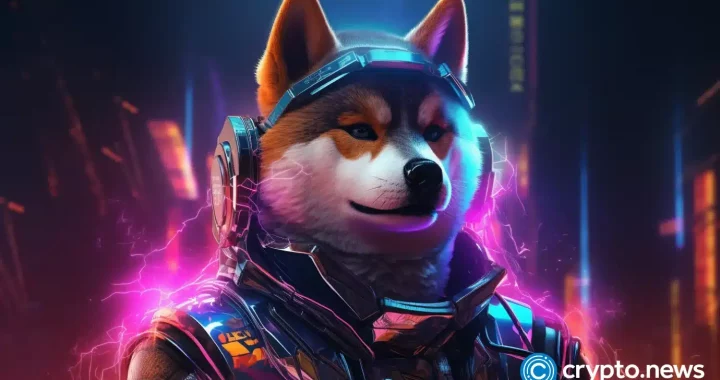 Shiba Inu déjà vu? 2 reasons SHIB price may rocket higher