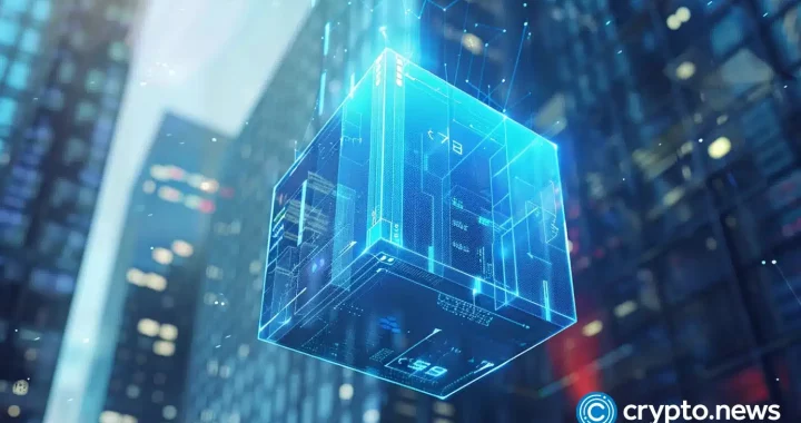 What are nodes in blockchain? A guide