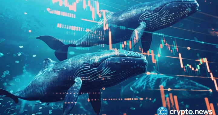 Crypto whales secretly accumulate these 4 coins for 5,000% gains