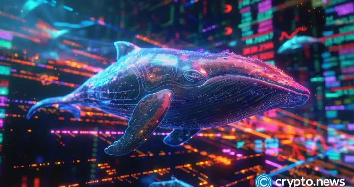 Whale panics amid Bitcoin dip, sells 2,019 BTC