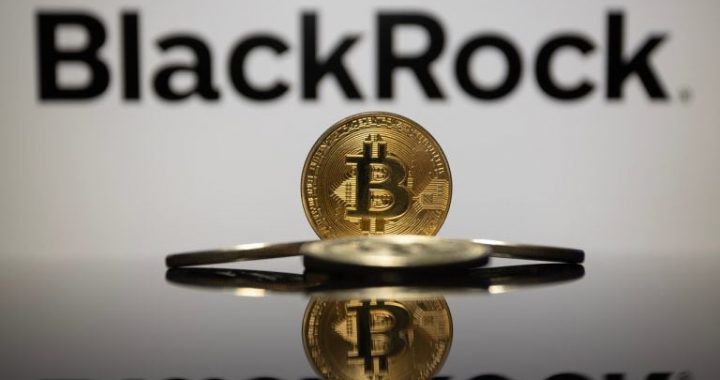 Blackrock Exec Debunks Bitcoin Myths: ‘It’s Not a Risk-on Asset’
