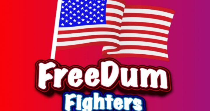 Some Experts Think FreeDum Fighters PolitiFi Presale Could Give Major Returns Following US Election