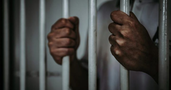 Nigerian Crypto Industry Players Applaud Proposal to Jail Ponzi Operators