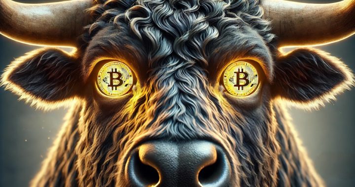 On-Chain Data Shows The Bitcoin Price Bull Run is Far From Over