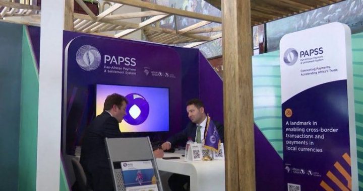 African Payment System Gets Banker’s Endorsement, but Viability Questions Linger
