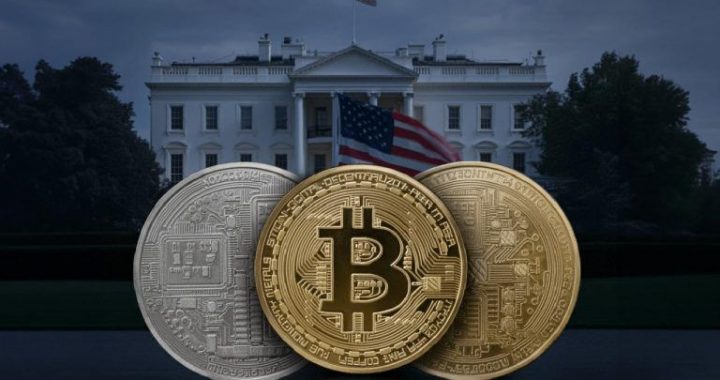 PolitiFi Trading Surges Past $240M as Analysts Back FreeDum Fighters for Post-Listing Rally