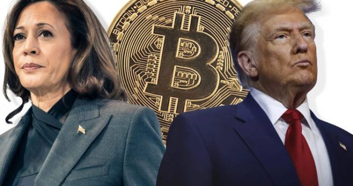 Bitcoin Poised for Big Moves: What Experts Predict Ahead of the 2024 US Election