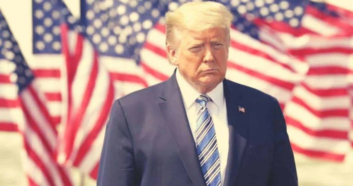 US Presidential Elections 2024 Results: Donald Trump Declares Victory