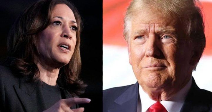 Report: Investors Pour Billions Into Bonds and Bitcoin Ahead of Election