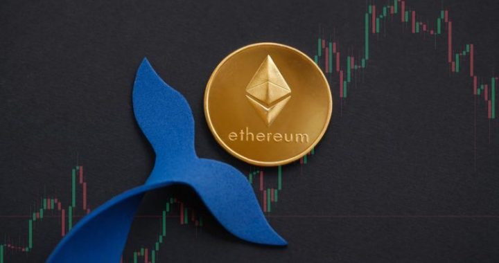 104 Whales Hold 57.35% of Ethereum: Santiment Analysis