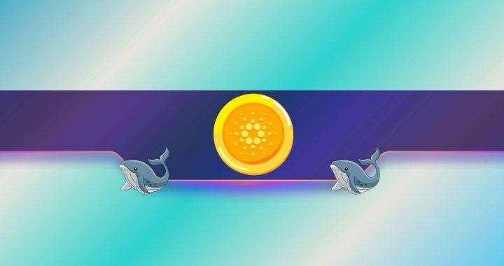 Cardano Whales Keep Buying, Is ADA Poised to Hit $1.5 Next?