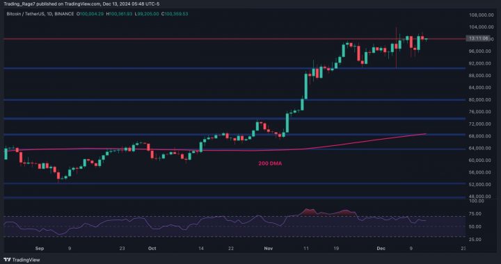 Bitcoin Price Analysis: BTC Breaks Above $100K, Is $120K Next?