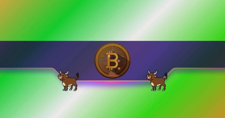 Bitcoin (BTC) Price Surge on the Horizon? This Vital Metric Suggests So