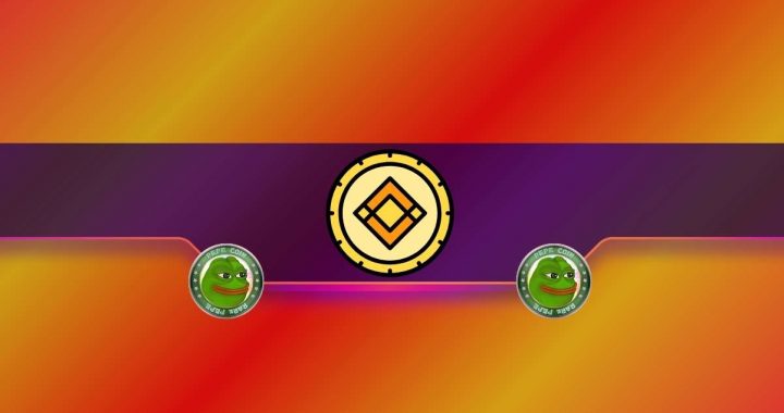 Important Binance Announcement Affecting PEPE Traders: Details