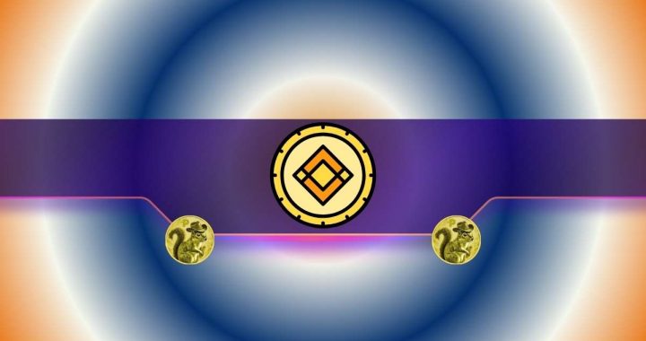 Important Binance Trading Update Concerning Peanut the Squirrel (PNUT) and Other Meme Coins: Details