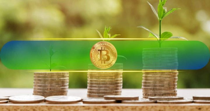 Bitcoin Long-term Holders Drive Profit-taking Spree, But Funding Rates Signal Market Stability: Bitfinex