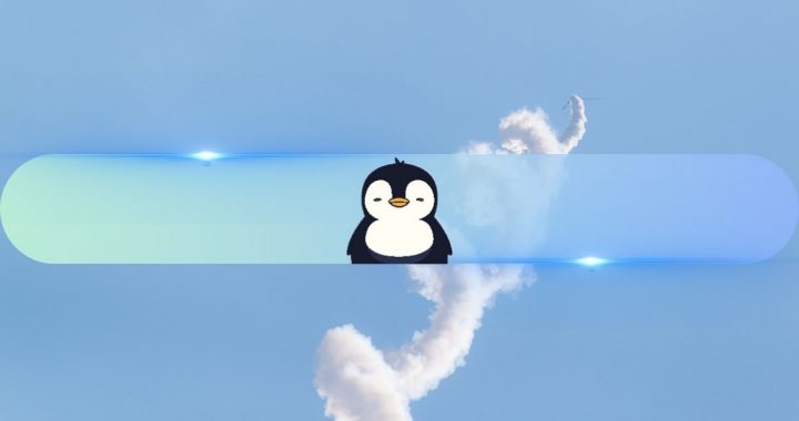 PENGU Overtakes BONK, Becomes Top Meme Coin on Solana at $2.6B Valuation