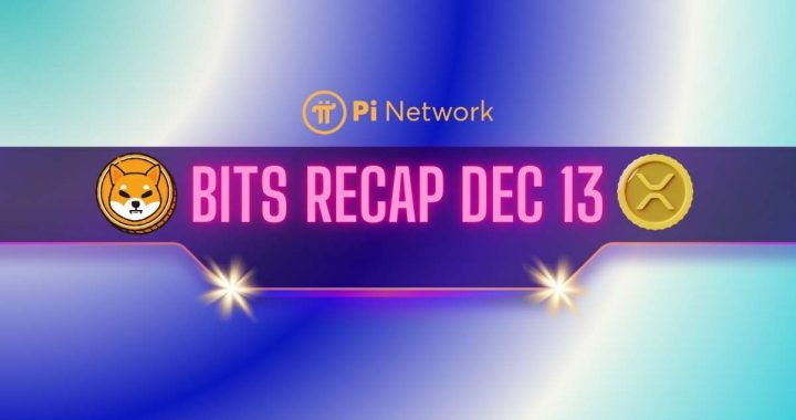Interesting Pi Network (PI) Facts, Bullish Shiba Inu (SHIB) Price Predictions, and More: Bits Recap Dec 13