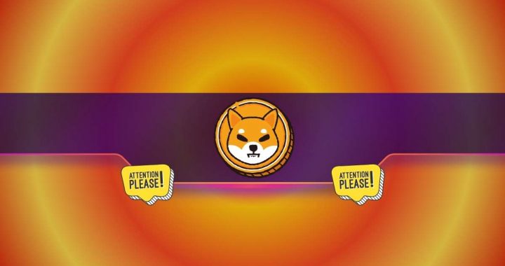 Watch Out: Shiba Inu (SHIB) Team Issues a Crucial Warning to the Community