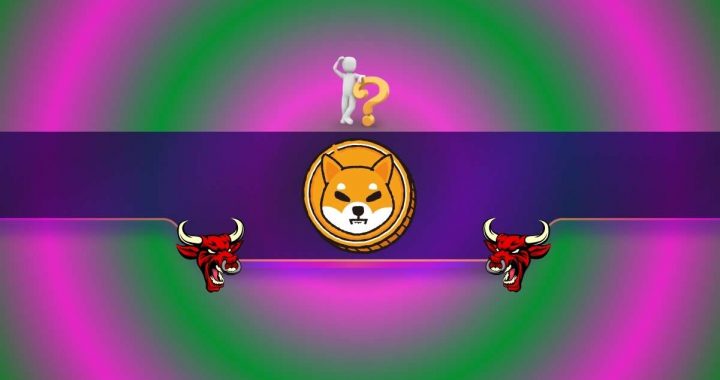 Three Reasons Why the Shiba Inu (SHIB) Price May Head North Soon