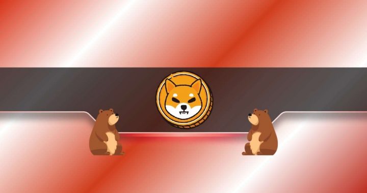 Shiba Inu (SHIB) Drops by 15% in 2 Weeks: These Factors Suggest Extended Correction