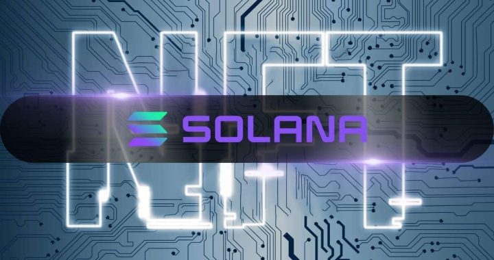 Pudgy Penguins NFT Project Set to Release Pengu Token on Solana