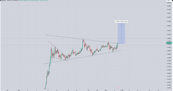 Dogecoin’s Big Question: How Far Can Its Price Rise By Year’s End?