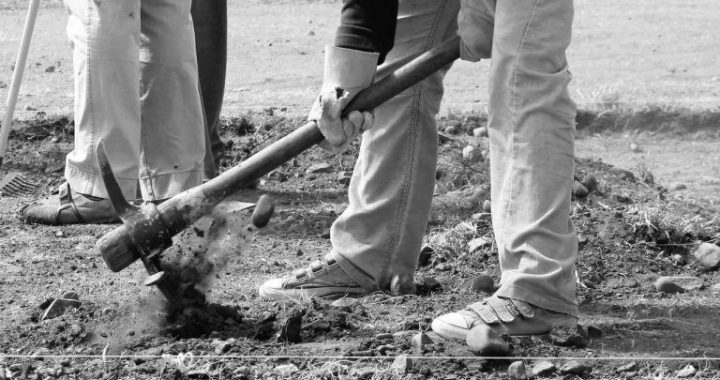 Hive to Expand Bitcoin Mining Power With $60M Purchase