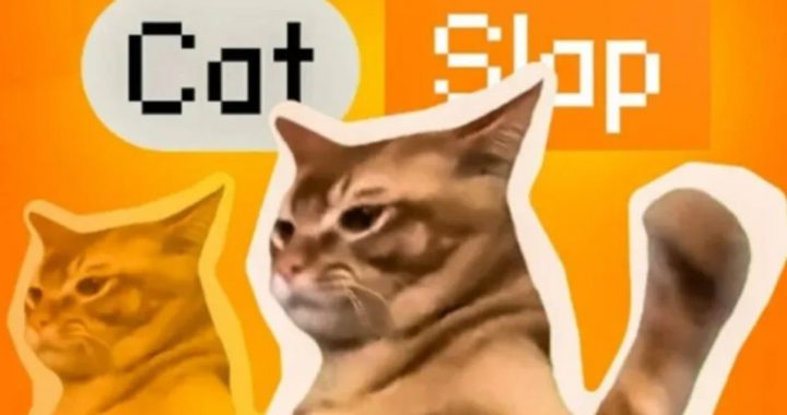 New Meme Coin Catslap Rises 120% as Jump Trading Invests $900K – CEX Listing in 1 Day