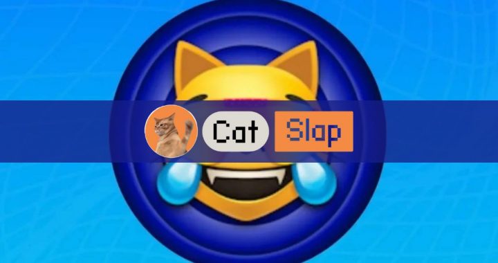 Mog Coin Price Outlook: MOG Pumps 18%, Could Catslap be a Better Alternative?