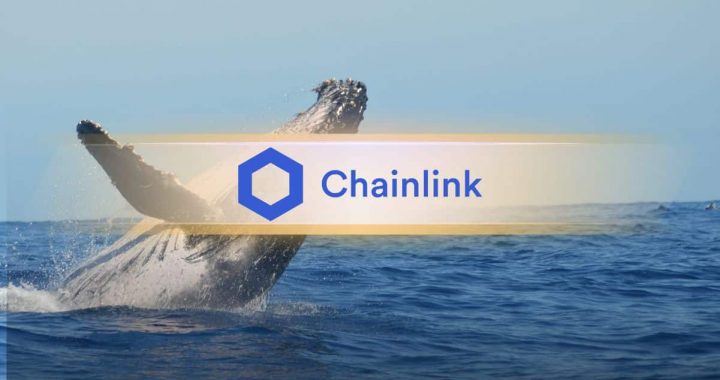 Whale and Shark Activity Pushes Chainlink (LINK) Past $29 For the First Time in 37 Months