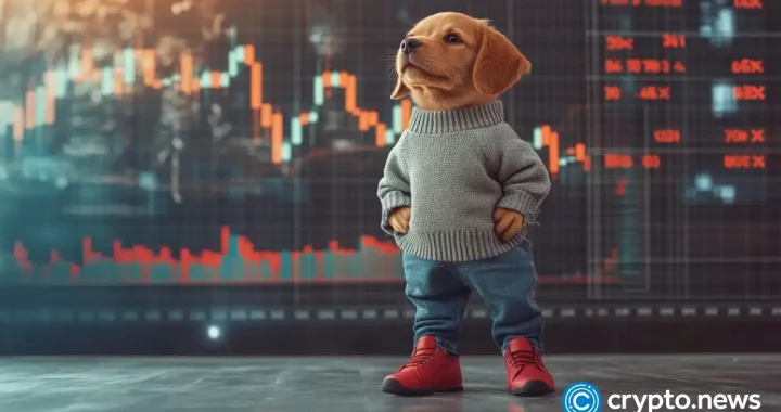 Chill Guy meme coin violated IP rights, says artist; token crashes 45% in 30 min