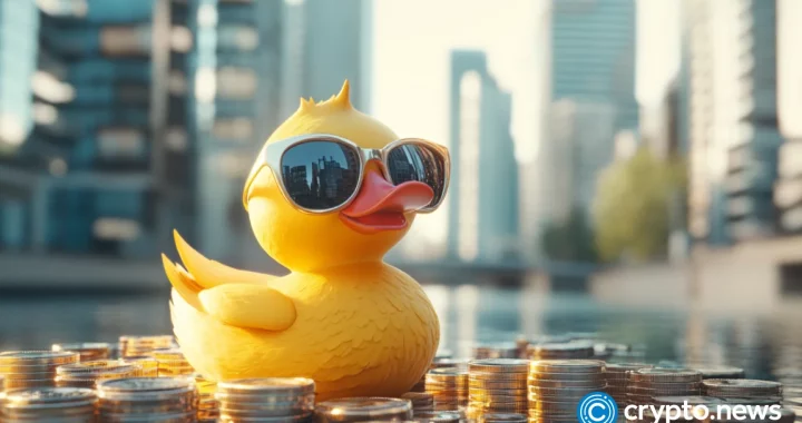 DuckChain announces strategic partnerships and secures $5M in financing