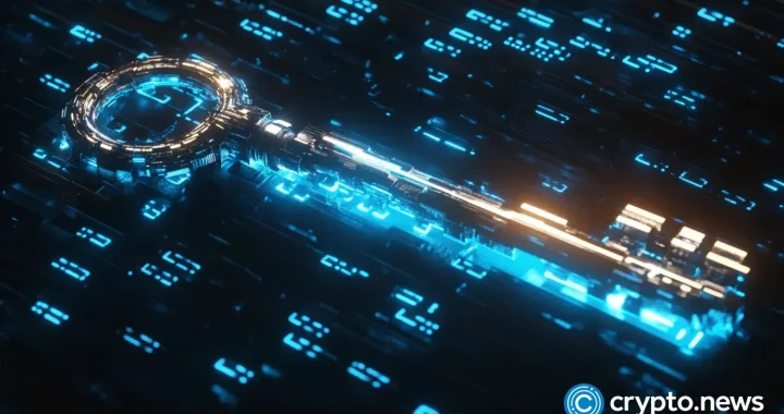 Launchpads are the key to decoding crypto’s investment complexity | Opinion