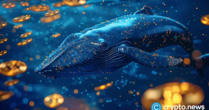 Crypto whales stockpile these 3 altcoins before the next bull run