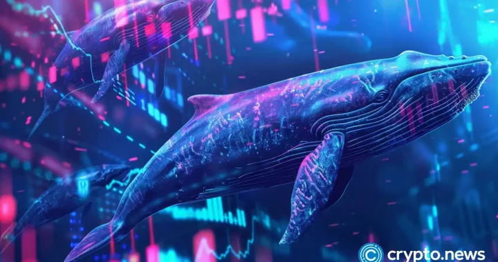 3 cryptocurrencies to transform average investors into whales