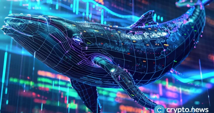 Crypto whales: Friends or foes?