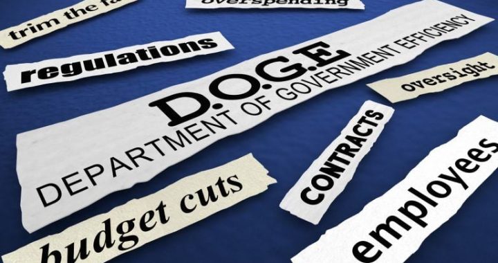 Expert: D.O.G.E. Needs Real-Time Data for Economic Decision Making