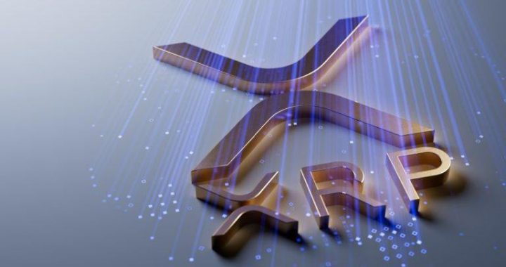 Growing World of XRP Meme Coins Could Shape the Next Crypto Trend