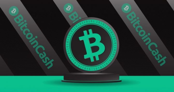 Community Fundraising Effort Launched to Secure Bitcoin Cash API Service