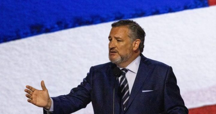 I am Proud to Stand With Bitcoin: Senator Ted Cruz