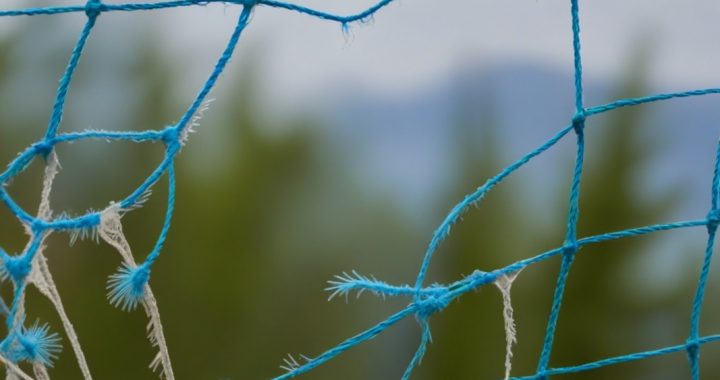 A Progressive Case for a Strategic Bitcoin Reserve: Strengthening America’s Social Safety Net