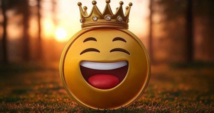 Meme Tokens Dominate: 9 of 2024’s Top 10 Crypto Gainers Are All About the Laughs