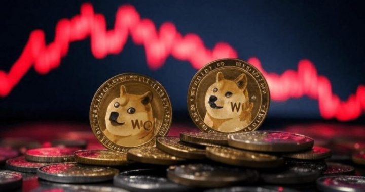 Meme Coin Prices Slide as Traders Hedge into FLOCK, STARS ICOs