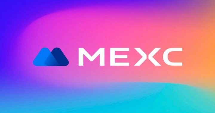 MEXC Research: Top 10 Futures Tokens of 2024