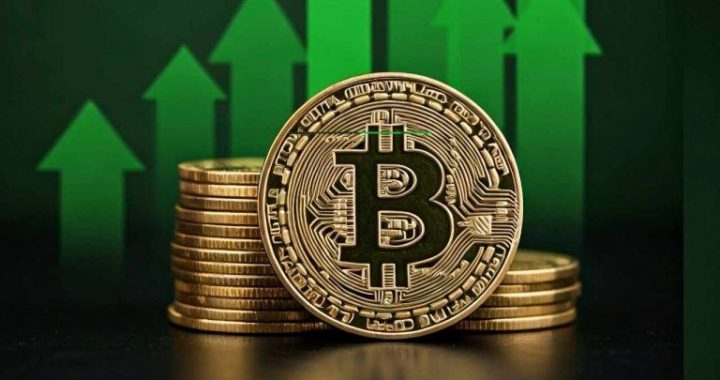 Binance CEO Urges Crypto Fans to Move Beyond Hodling and Flipping Tokens